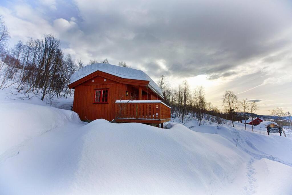 Kvetos Fjellhytte Holiday home Beitostolen